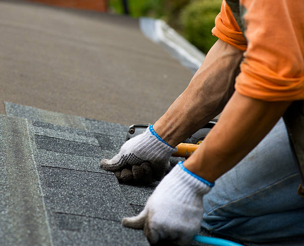Best Shingle Roofing Installation  in Lebanon, IL